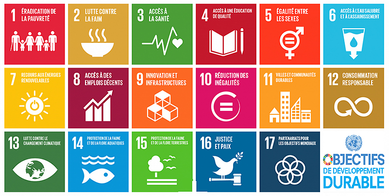 Sélection de vidéos sur la Transition écologique classées par ODD